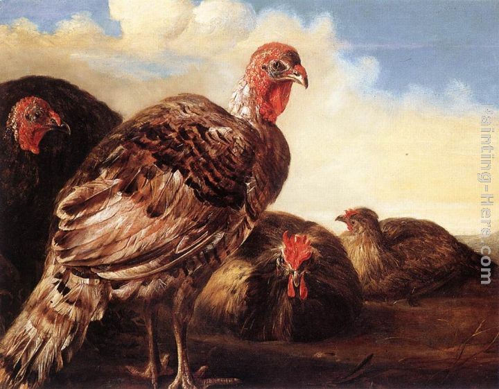 Aelbert Cuyp Domestic Fowl